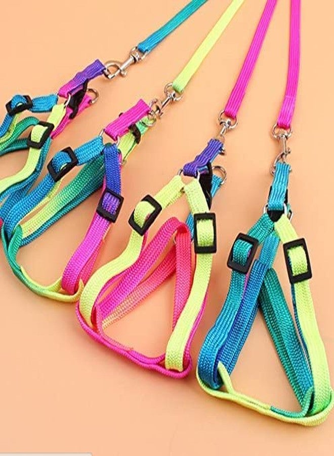 Pups&Pets Bird Rainbow Color Harness and Leash Set | Safe Adjustable Harness with Buckle | Long 47inch Anti bite Training Rope Leash for Macaw & Large Size Birds (Width - 10MM) - Image 3